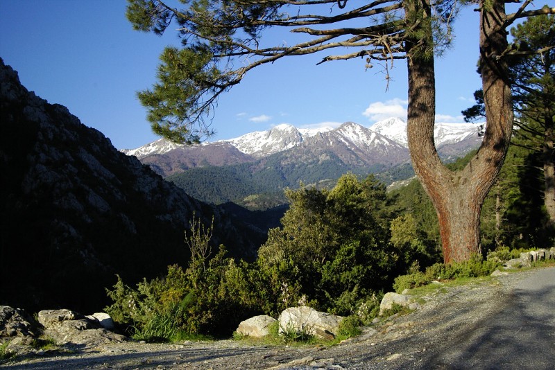 Korsika 2004