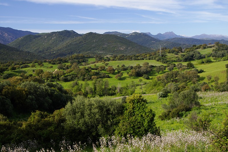 Korsika 2004
