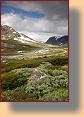 Rallarvegen 