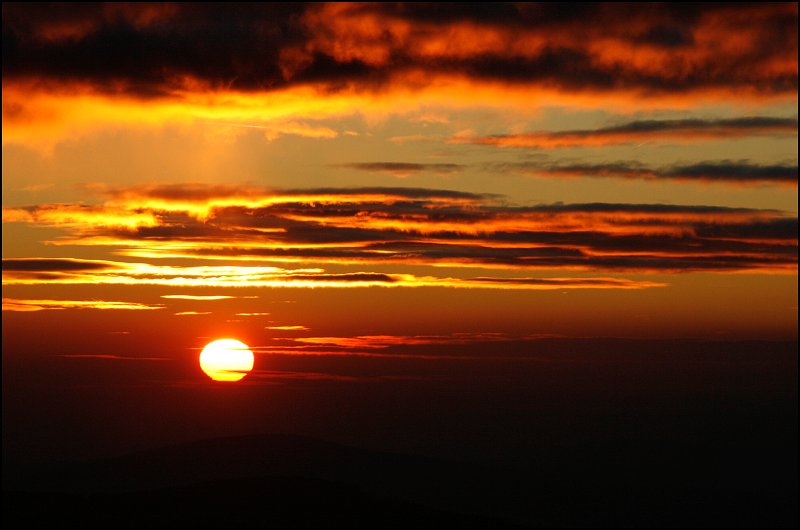 img00036.jpg